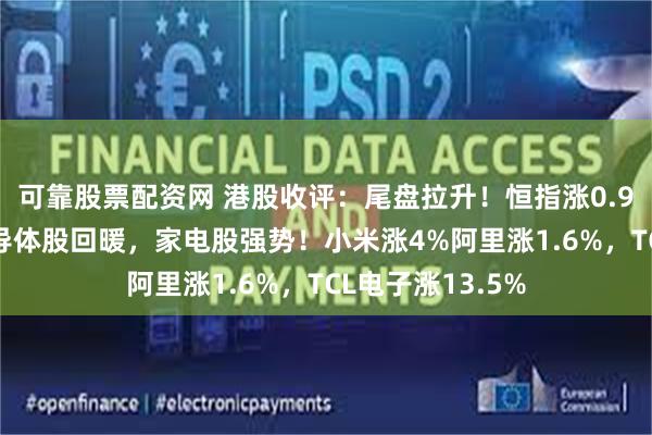 可靠股票配资网 港股收评：尾盘拉升！恒指涨0.91%，汽车股半导体股回暖，家电股强势！小米涨4%阿里涨1.6%，TCL电子涨13.5%