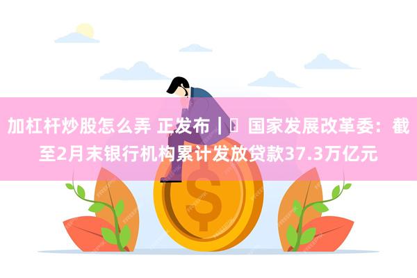 加杠杆炒股怎么弄 正发布｜‌国家发展改革委：截至2月末银行机构累计发放贷款37.3万亿元