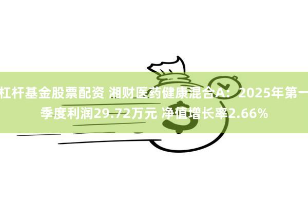 杠杆基金股票配资 湘财医药健康混合A：2025年第一季度利润29.72万元 净值增长率2.66%