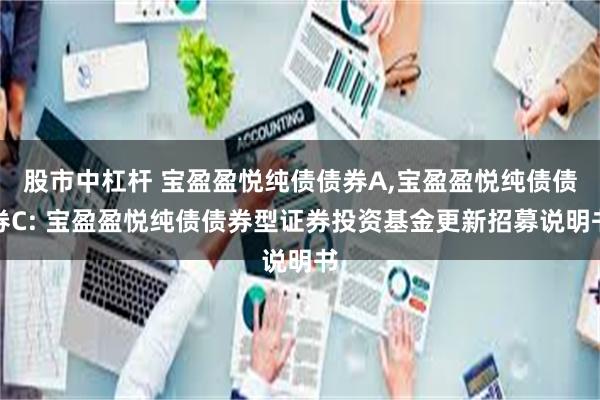 股市中杠杆 宝盈盈悦纯债债券A,宝盈盈悦纯债债券C: 宝盈盈悦纯债债券型证券投资基金更新招募说明书