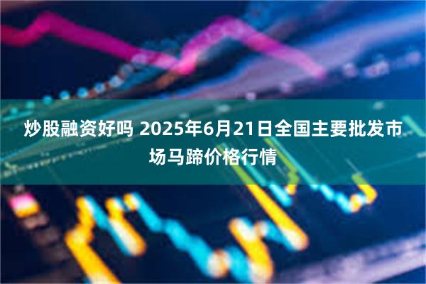 炒股融资好吗 2025年6月21日全国主要批发市场马蹄价格行情
