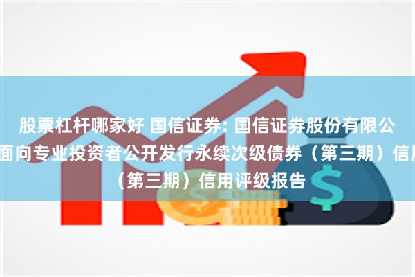 股票杠杆哪家好 国信证券: 国信证券股份有限公司2025年面向专业投资者公开发行永续次级债券（第三期）信用评级报告