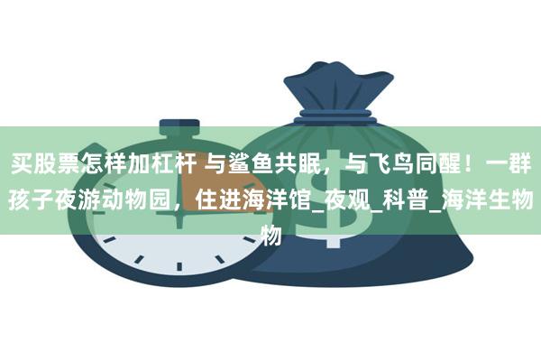 买股票怎样加杠杆 与鲨鱼共眠，与飞鸟同醒！一群孩子夜游动物园，住进海洋馆_夜观_科普_海洋生物