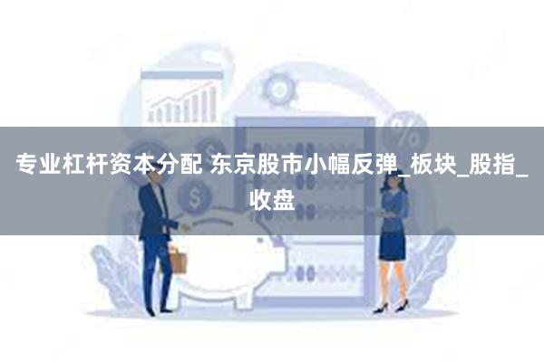 专业杠杆资本分配 东京股市小幅反弹_板块_股指_收盘