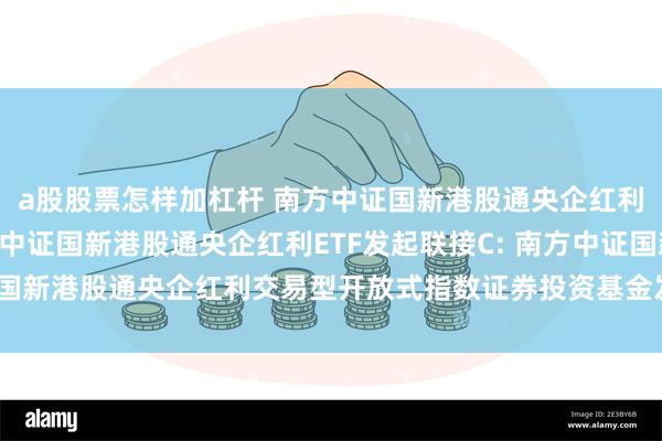 a股股票怎样加杠杆 南方中证国新港股通央企红利ETF发起联接A,南方中证国新港股通央企红利ETF发起联接C: 南方中证国新港股通央企红利交易型开放式指数证券投资基金发起式联接基金托管协议