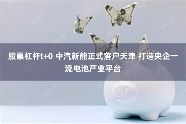 股票杠杆t+0 中汽新能正式落户天津 打造央企一流电池产业平台