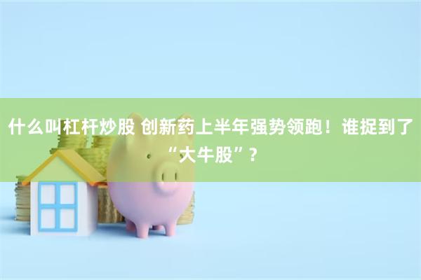 什么叫杠杆炒股 创新药上半年强势领跑！谁捉到了“大牛股”？
