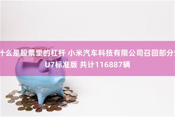 什么是股票里的杠杆 小米汽车科技有限公司召回部分SU7标准版 共计116887辆